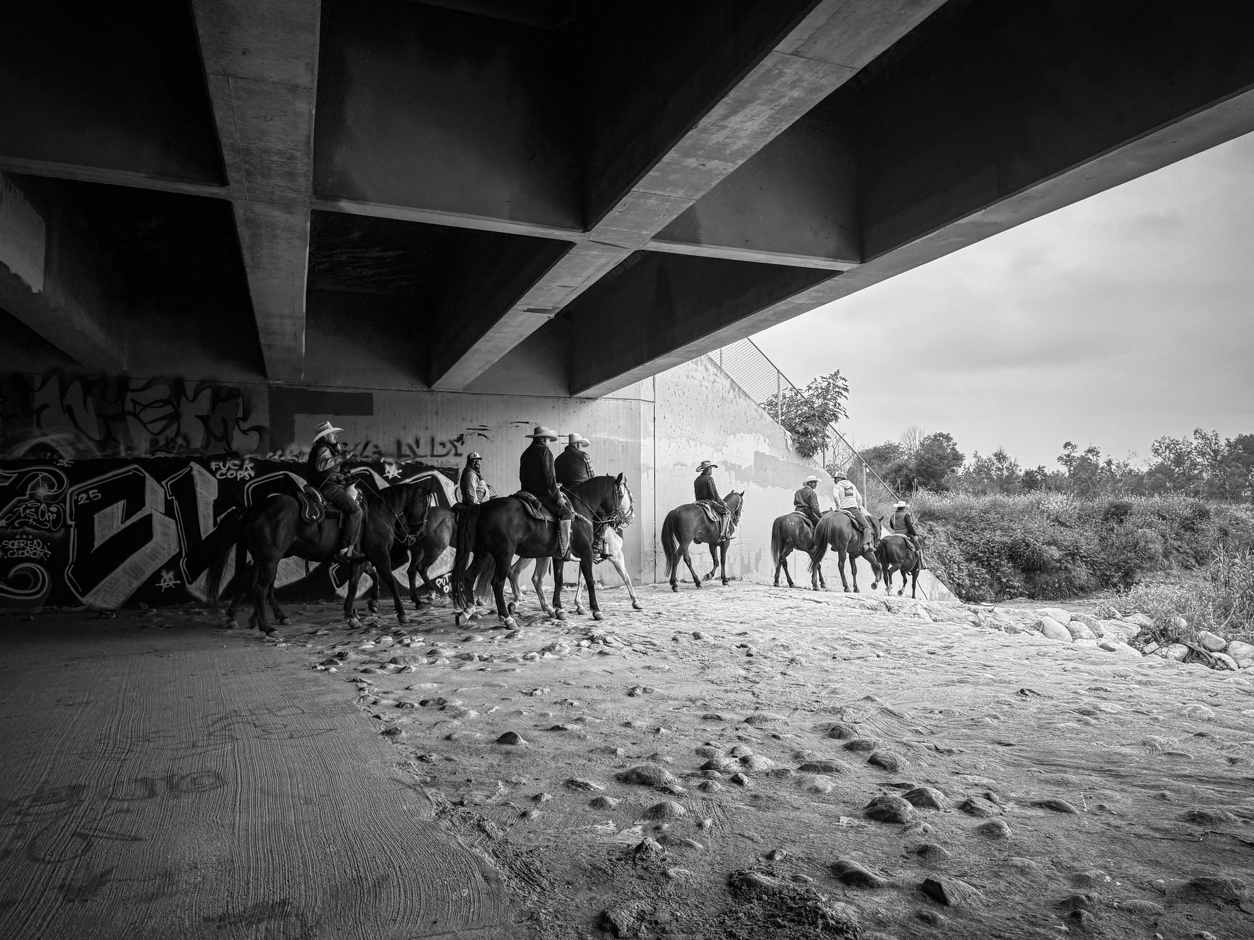 A group of people on horseback ride under a bridge with graffiti on its walls.