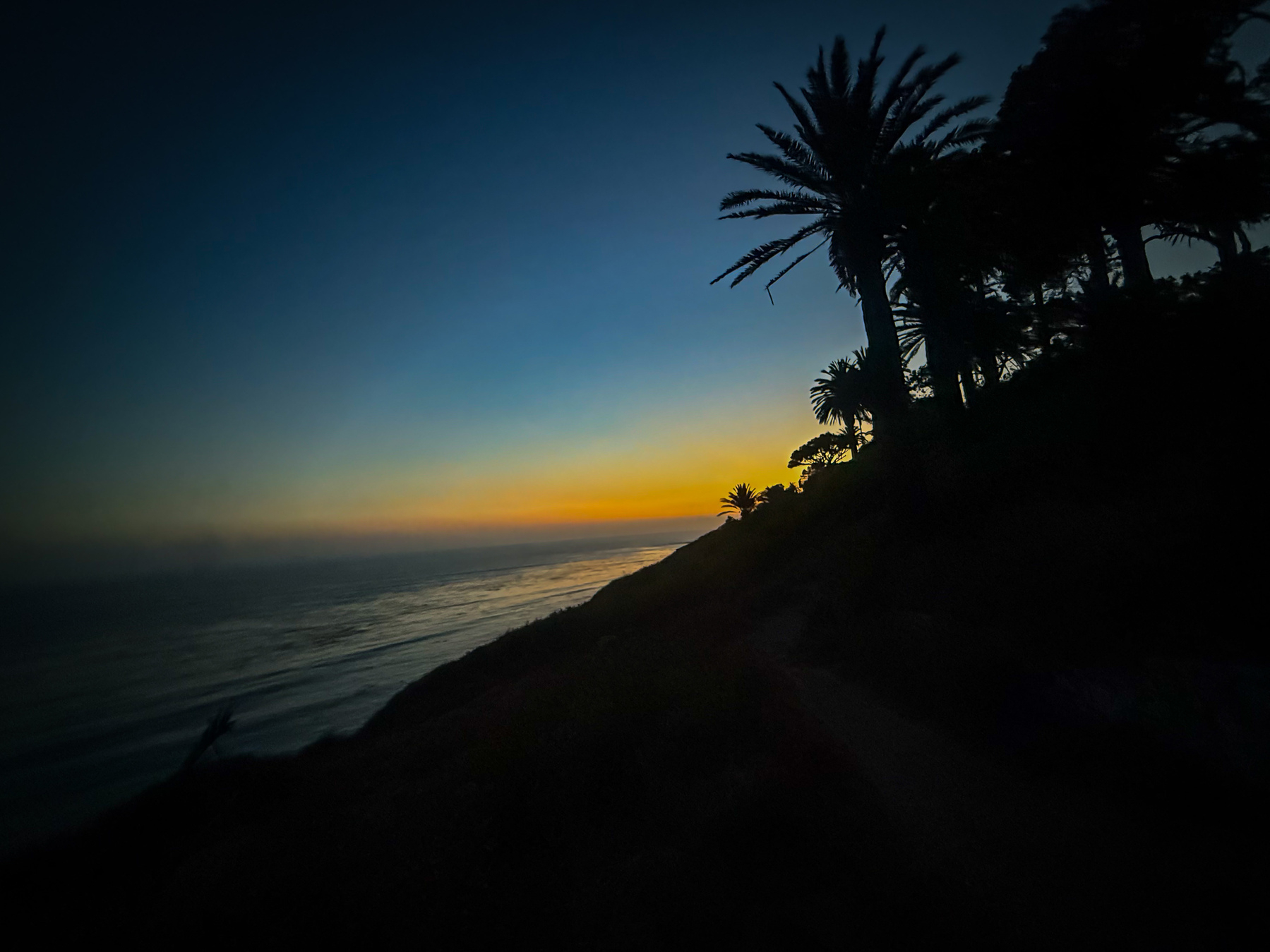 A silhouette of palm trees stands against a vibrant sunset over the ocean, creating a peaceful coastal scene.