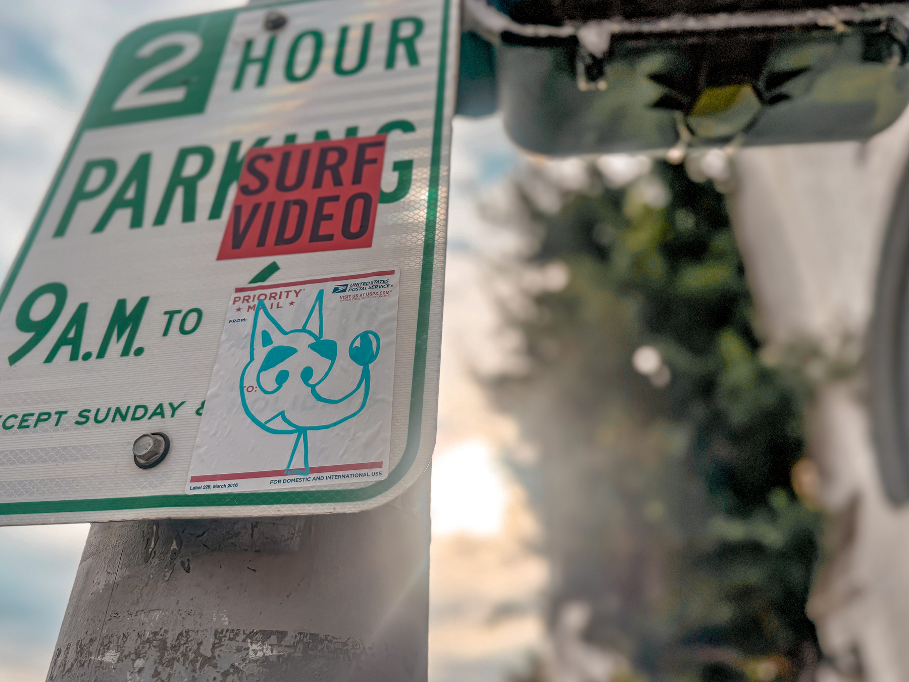 Photo of dog drawn on priority mail tag on a parking sign. 